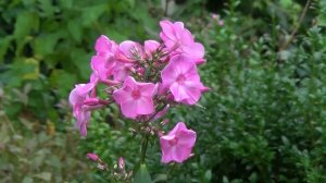 Вспоминаю конец лета. 2022г.