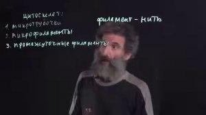 Цитология  Лекция 4  Цитоскелет  Окштейн И Л