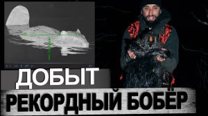 Охота на Бобра. Добыл на тридцаточку.