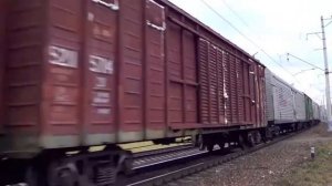 ВЛ11-501 с грузовыми вагонами
