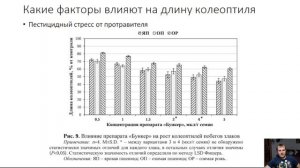 Глубина Заделки семян Зерновых культур. Глубина посева Пшеницы, Ячменя, Овса, Ржи.