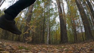 За осенним кадром