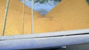 Бункер перегрузчик Кобзаренко ПБН 30