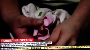 Младенцы в Клину идут на органы