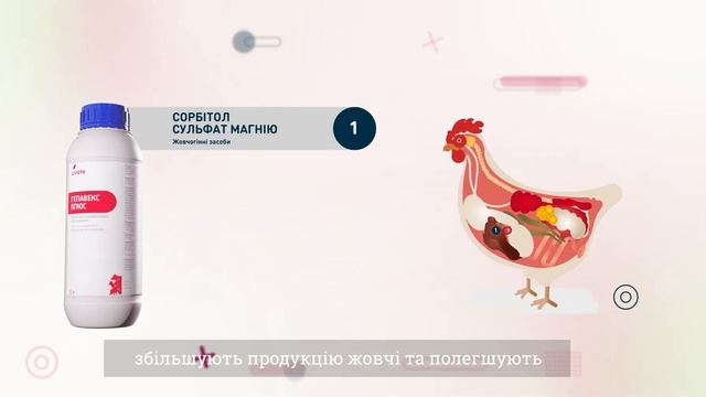 LIVISTO Capsules - Печінка