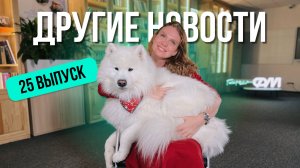 ДРУГИЕ НОВОСТИ 25 – САХАРНЫЙ ВЫПУСК. Театр в трамвае, пёсель в кадре и Gucci-близнецы из Абакана