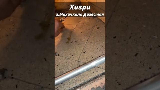 Хизри из Махачкалы собрал барбекю с Двойным зубом#shorts