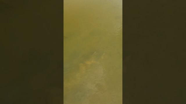 7 сентября 2022 г. смотреть онлайн