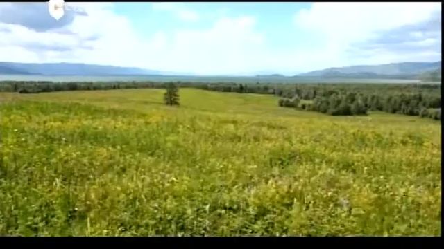 Уход на профилактику канала СТВ (Казахстан). 11.11.2021 смотреть онлайн