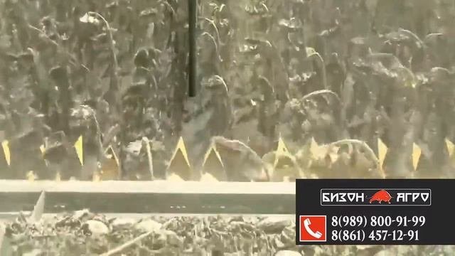 Безрядковая жатка для уборки подсолнечника SunFloro
