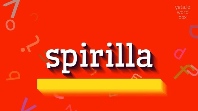 How to say "spirilla"! (High Quality Voices) смотреть онлайн