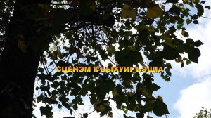 «Сценэм къыхуигъащ1а».