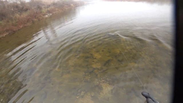 охота в туман смотреть онлайн