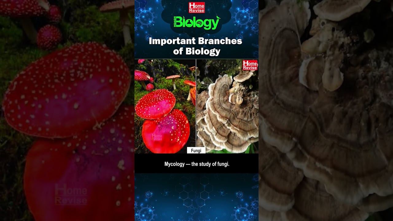 Important Branches of Biology | In terms of special groups of organisms
