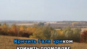 ОЙ ТИ ГАЛЮ ( ЇХАЛИ КОЗАКИ )КАРАОКЕ (мінус)