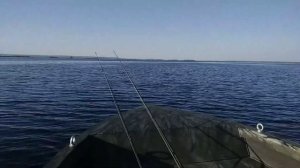 13 июля 2022 г.