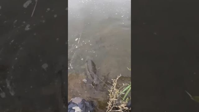 12 октября 2022 г. смотреть онлайн