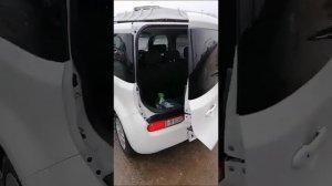 Ниссан куб z12