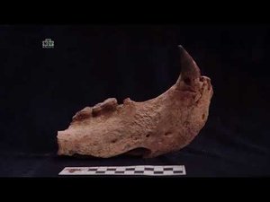История Молдовы фильм первый