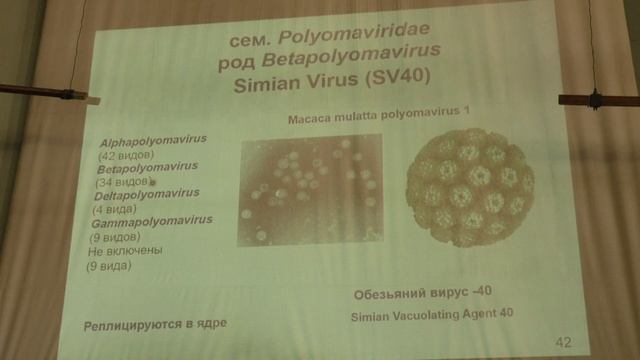 Карпова О. В. - Вирусология - 7. Ретровирусы. ДНК-содержащие вирусы смотреть онлайн