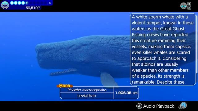 Leviathan Endless Ocean Luminous смотреть онлайн