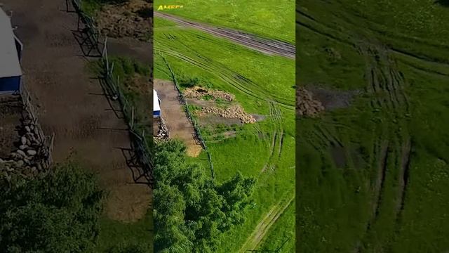 С какими ошибками может столкнуться начинающий фермер? #shorts #farmer