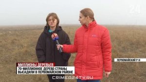 В Крыму высадили 70-миллионное дерево России