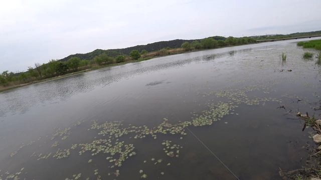 Подстрелил кабана с рогатки(из архива) смотреть онлайн