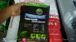 PEMUPUKAN BAWANG MERAH. PUPUK SEMI ORGANIK.