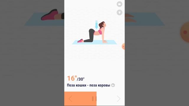 Тренування в домашніх умовах на все тіло!#6 Home training! Дистанційне навчання! Фізична культура!😀