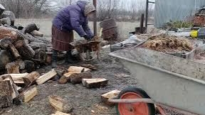 Деревенская жизнь многодетной семьи.Заготовка дров и наше хозяйство 🔥