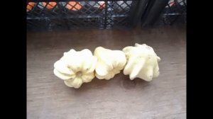 Долгохранящиеся патиссоны Звезда Югославии