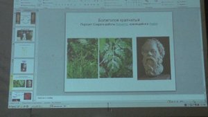 Лукашев Н. В. - Органическая химия. Часть 1 - 1. Основы стереохимии