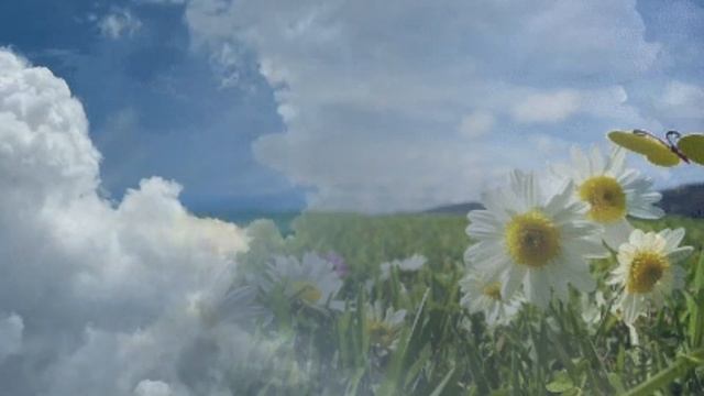 МЫ НА ЗЕМЛЕ ЖИВЁМ НЕЛЕПО  - читаю глубокие, проникновенные стихи АНДРЕЯ ДЕМЕНТЬЕВА