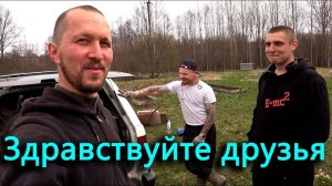 Новые грядки. Здравствуйте друзья. Раздаем щенков.