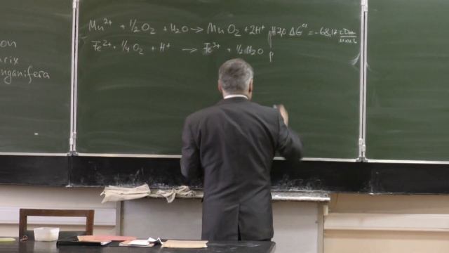 Нетрусов А. И. - Микробиология - Серные и железоокисляющие бактерии