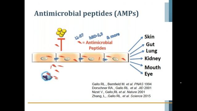 It’s a Complex Relationship Microbiomes in Allergy & Immunology смотреть онлайн