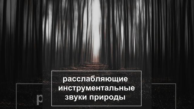 Безмятежность