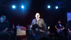 смысловые галлюцинации Лед