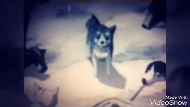 Легенда о серебряном клыке уиде клип (Angel of Darkness) смотреть онлайн