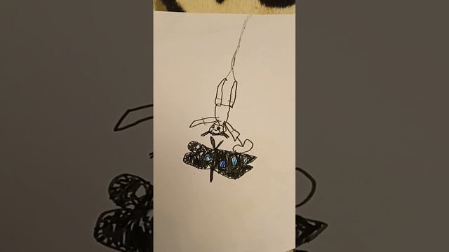 Бабочки редкий вид