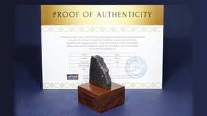 Каменный метеорит Царев