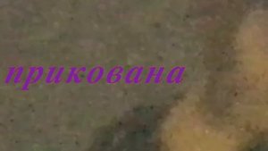 полюбила бандита - краски