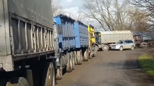 СВЕКЛА В ФЕВРАЛЕ Уборка свёклы в Краснодарском крае