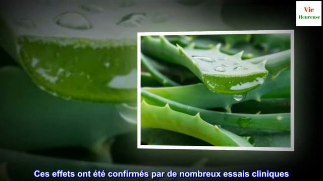 9 bienfaits de l'aloe vera pour votre santé смотреть онлайн