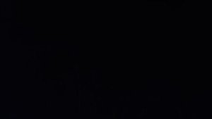 Шуруповëрт Man Craft