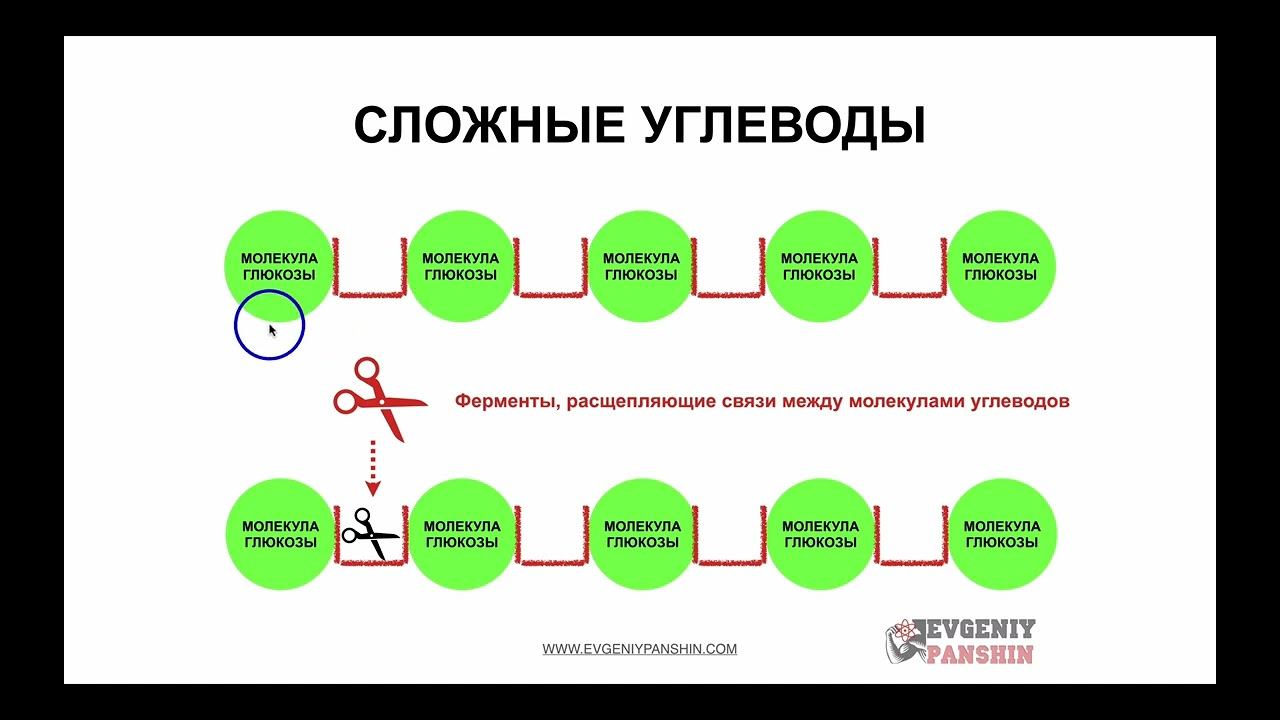 Клетчатка и ее влияние на здоровье
