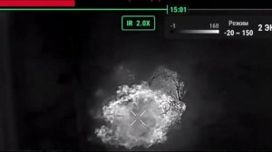 В обойме... 29 11 24