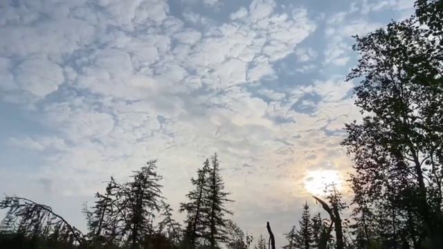 Открыли водомоторный сезон и сходили на речку Талую #норильск #талнах #реканорилка #рекаталая