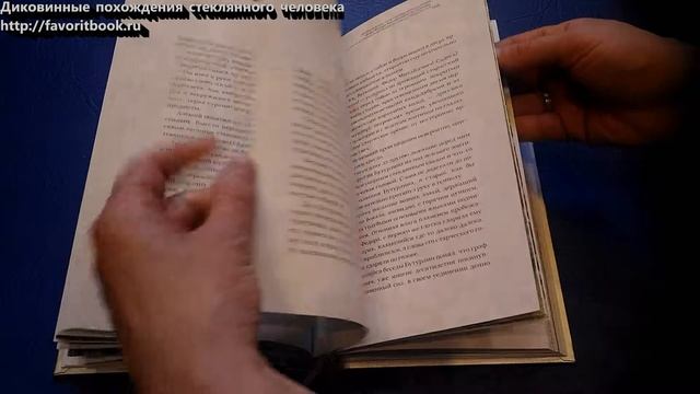 Диковинные похождения стеклянного человека. Обзор книги.